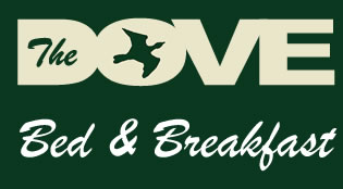 Dove Street Bed and Breakfast banner